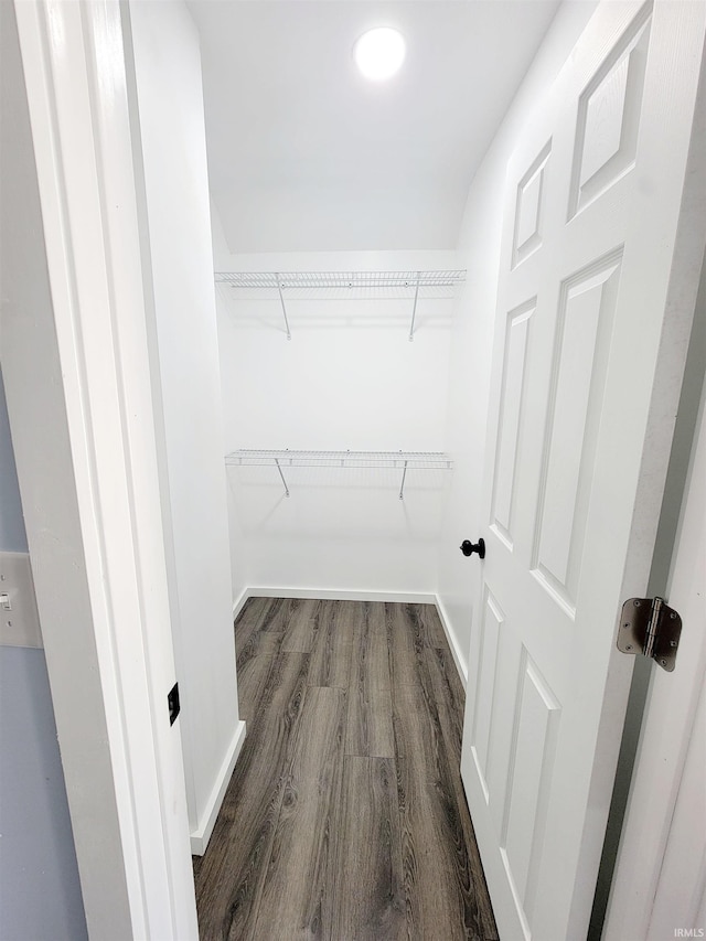 spacious closet featuring dark wood-type flooring