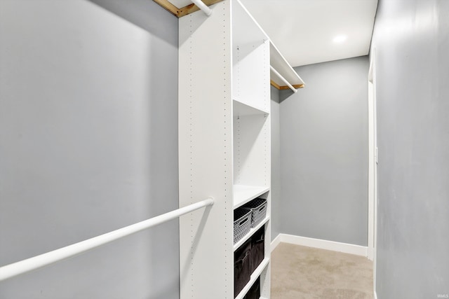 walk in closet with light colored carpet