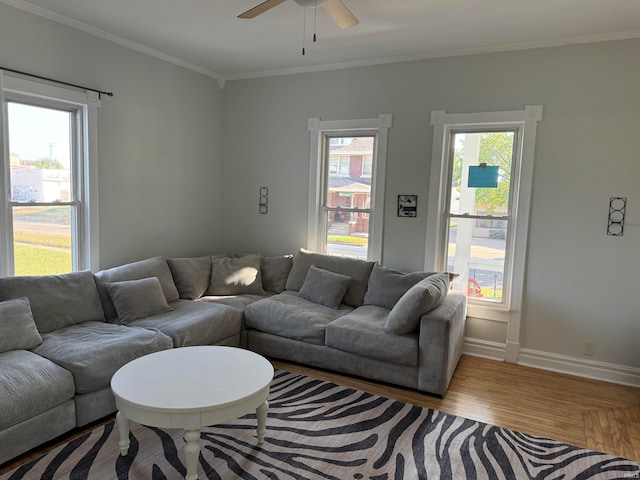 living room with plenty of natural light, light hardwood / wood-style floors, and crown molding