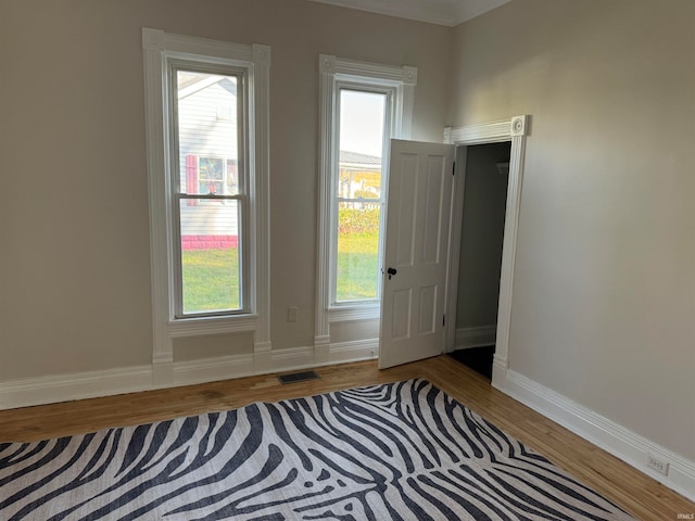 doorway featuring hardwood / wood-style floors and a wealth of natural light