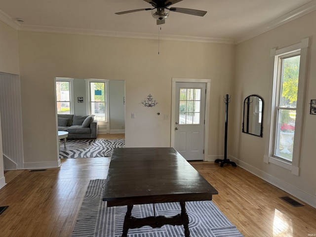 entrance foyer featuring ornamental molding, light wood-type flooring, plenty of natural light, and ceiling fan