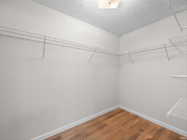 walk in closet with wood-type flooring