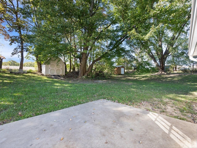 view of yard with a storage unit and a patio