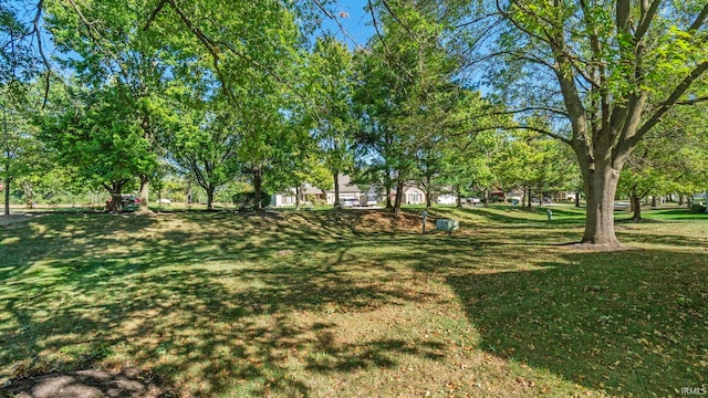 view of community with a lawn