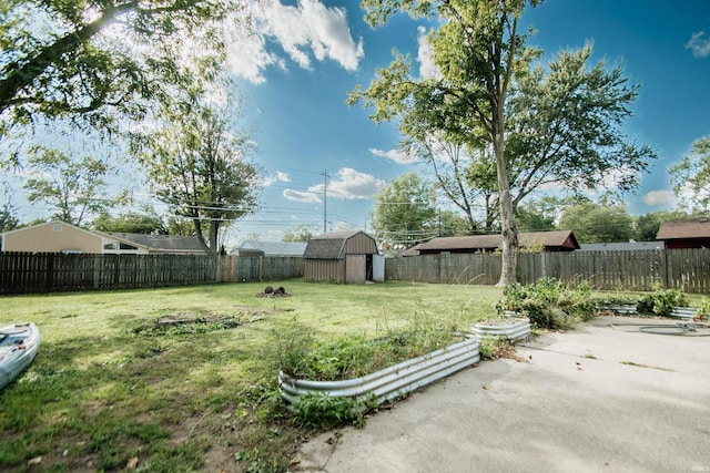 view of yard featuring a storage unit and a patio area