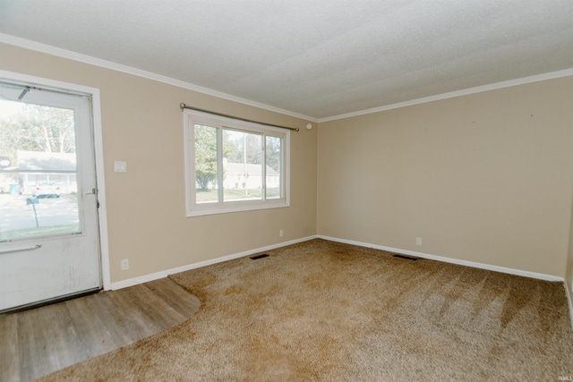 carpeted empty room featuring a textured ceiling and ornamental molding