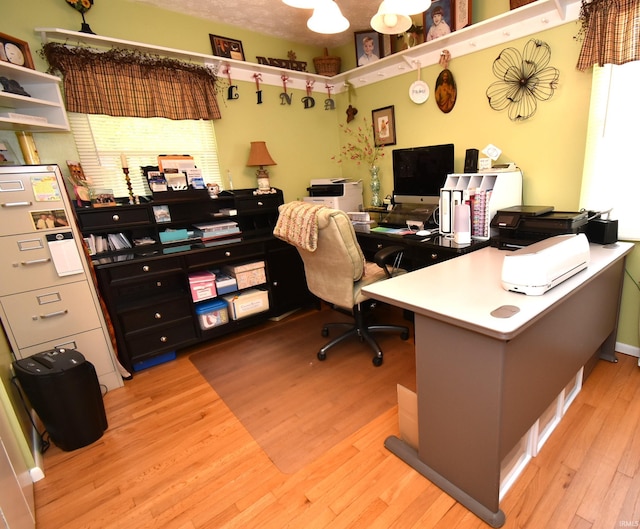 office area with light hardwood / wood-style flooring