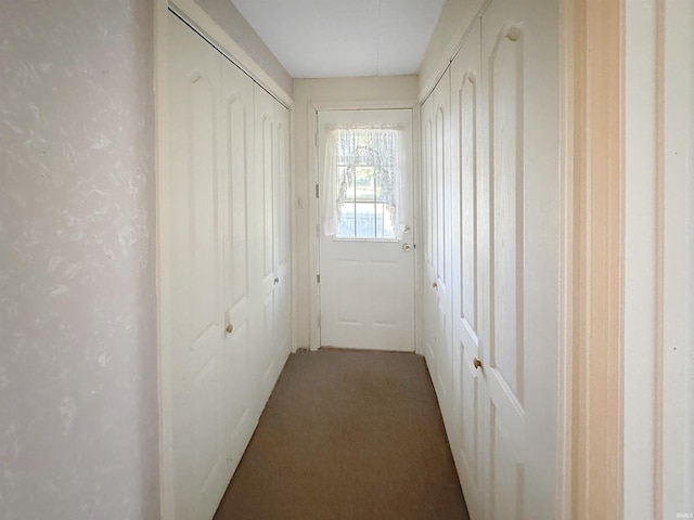 entryway featuring carpet floors