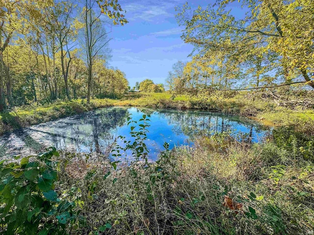 view of water feature