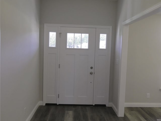 foyer entrance with dark hardwood / wood-style flooring and a wealth of natural light