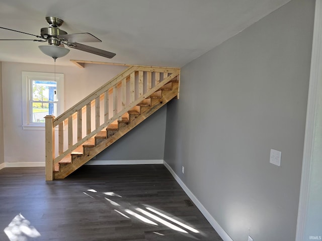 staircase featuring hardwood / wood-style flooring and ceiling fan