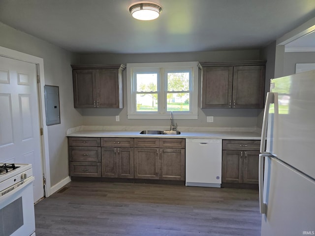 kitchen with hardwood / wood-style flooring, white appliances, sink, and electric panel