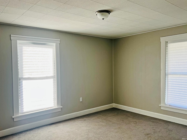 carpeted empty room featuring a healthy amount of sunlight