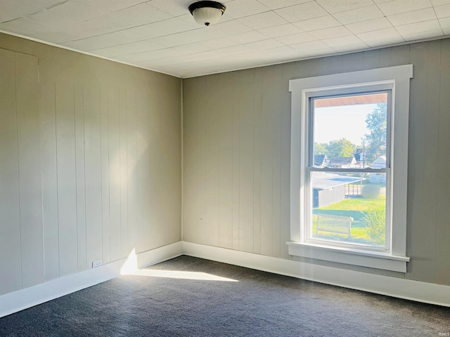 unfurnished room featuring carpet floors and wood walls