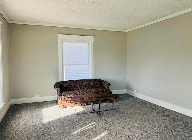 sitting room featuring carpet floors, crown molding, and a textured ceiling