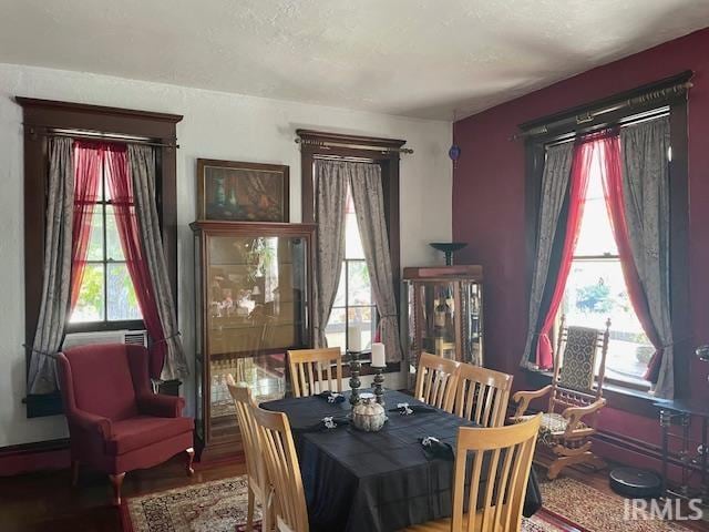 dining room with a textured ceiling and hardwood / wood-style flooring