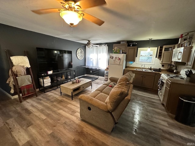 living room with sink and wood-type flooring