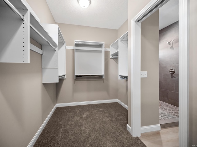 walk in closet featuring carpet flooring