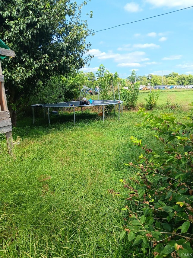 view of yard with a trampoline