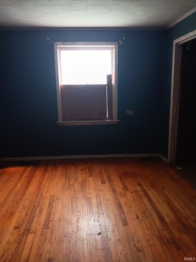 empty room with hardwood / wood-style flooring