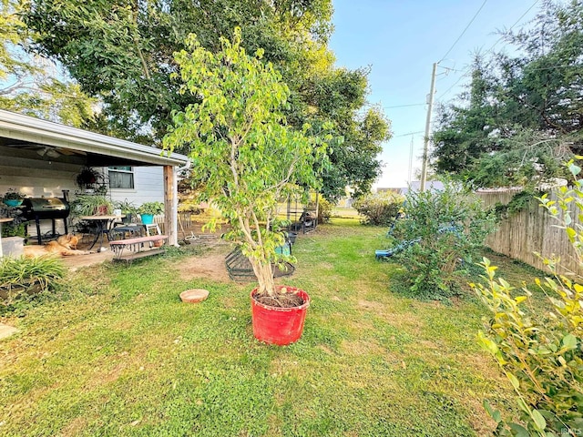 view of yard with a patio