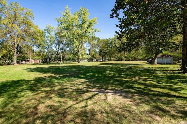 view of yard with a storage shed