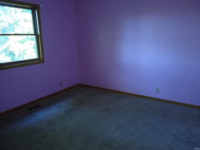 empty room featuring carpet