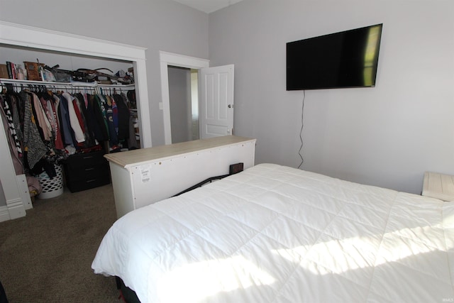 bedroom with carpet floors and a closet