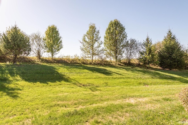 view of yard featuring a rural view