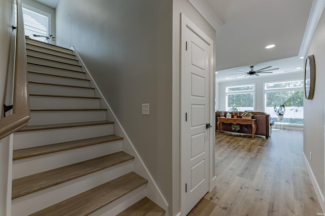 stairs with hardwood / wood-style flooring, ceiling fan, and crown molding