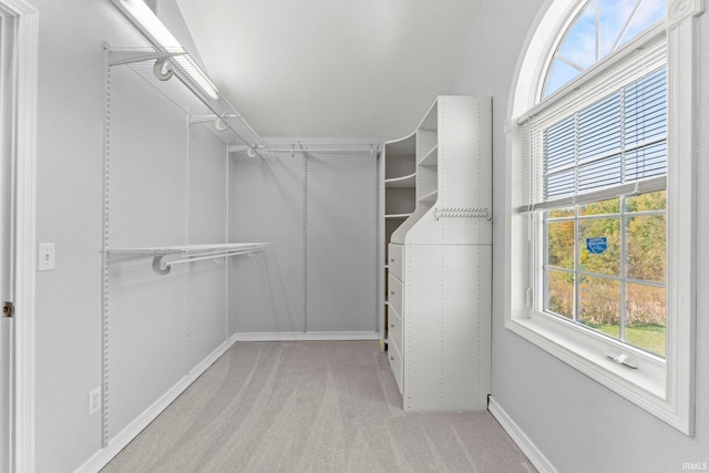 spacious closet with light colored carpet