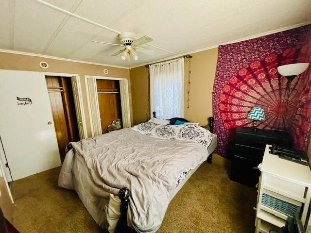 bedroom with carpet floors, two closets, ornamental molding, and ceiling fan