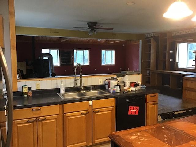 kitchen featuring black dishwasher, sink, and ceiling fan