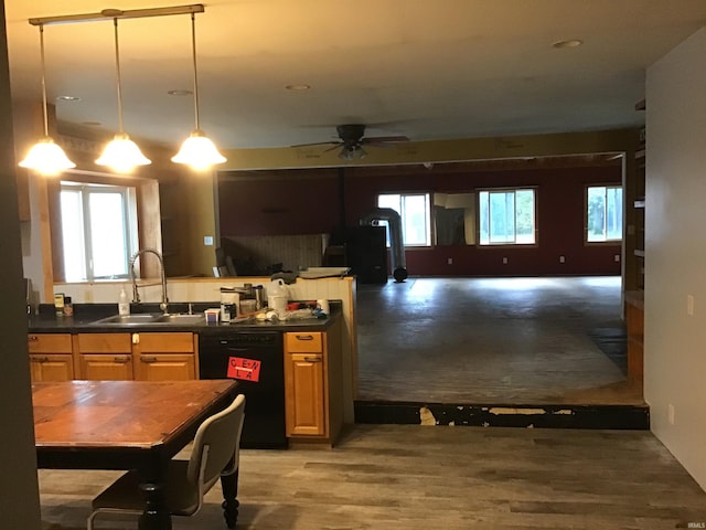 kitchen with ceiling fan, plenty of natural light, hardwood / wood-style floors, and dishwasher