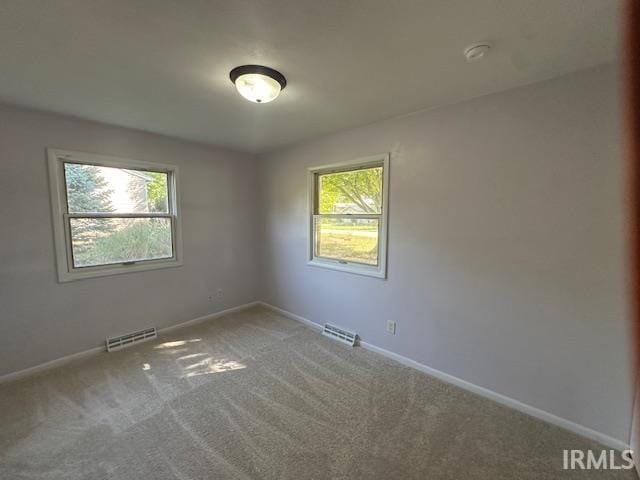 spare room with carpet flooring and a wealth of natural light