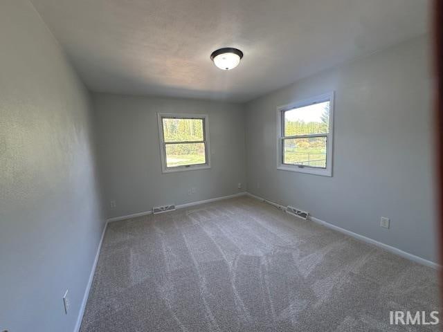 spare room with carpet floors and a wealth of natural light