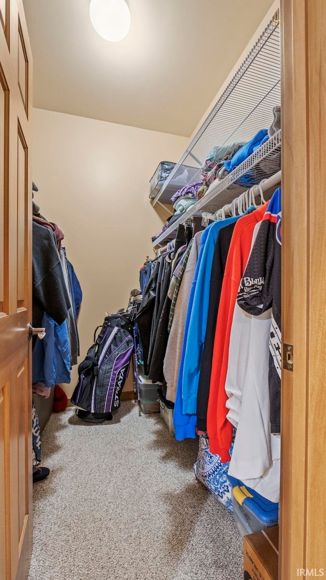 spacious closet with carpet