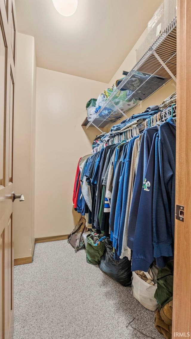 spacious closet with carpet