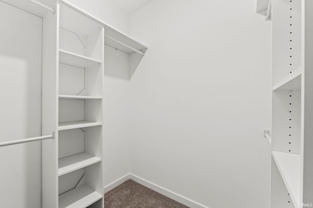 walk in closet featuring carpet