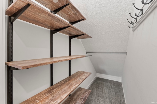 walk in closet with carpet floors