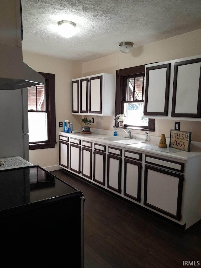 kitchen featuring dark hardwood / wood-style flooring, range with electric stovetop, range hood, sink, and white fridge