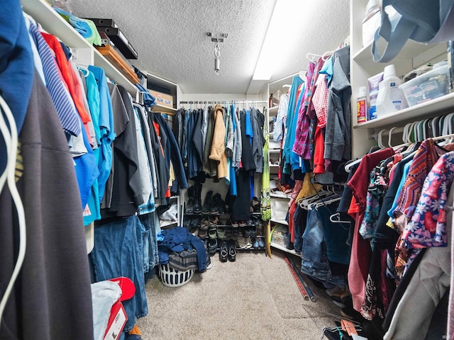 spacious closet featuring carpet flooring