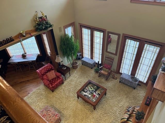 living room featuring hardwood / wood-style floors and a high ceiling