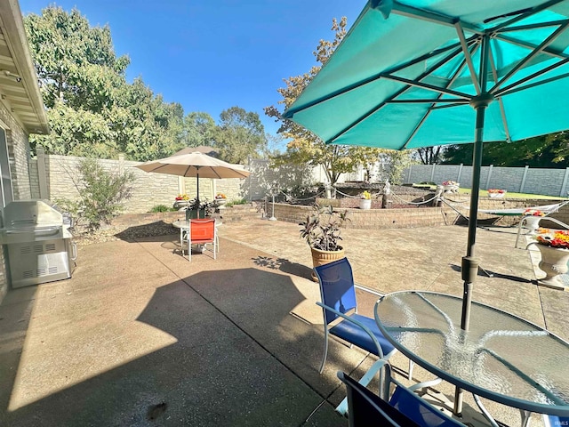 view of patio / terrace featuring grilling area