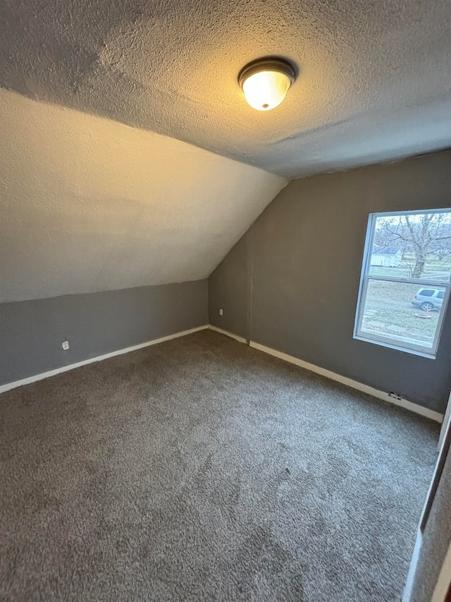 additional living space with carpet, a textured ceiling, and vaulted ceiling