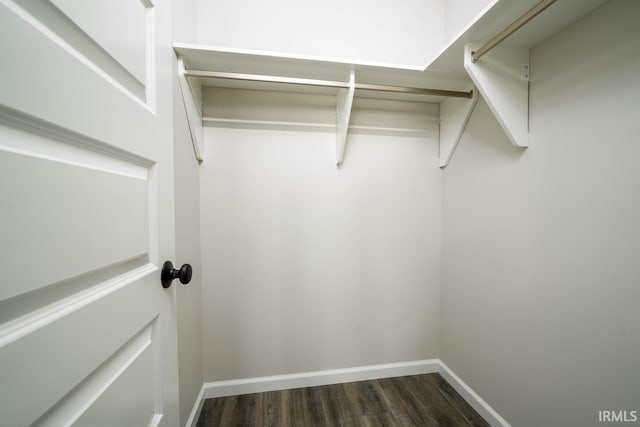 walk in closet featuring dark wood-style floors