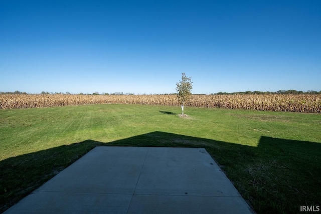 view of yard featuring a patio and a rural view