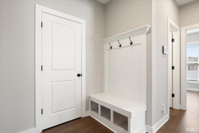 mudroom featuring dark wood-type flooring