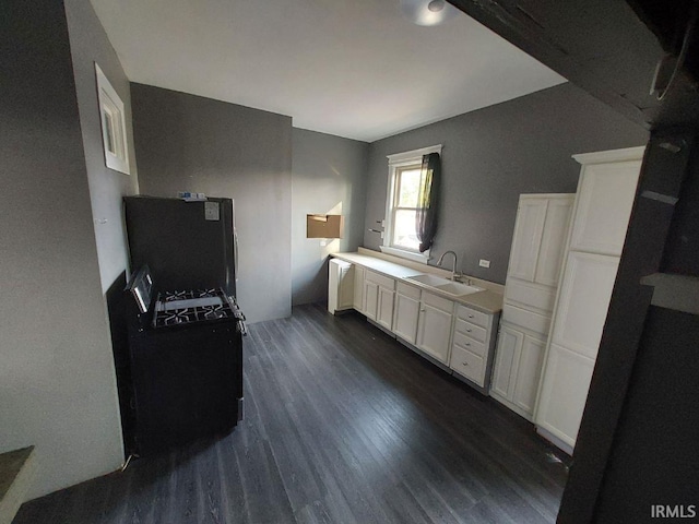 bathroom featuring wood-type flooring and sink