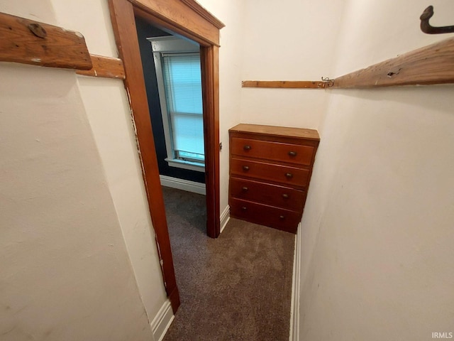 walk in closet with dark carpet